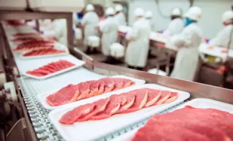 Food Production