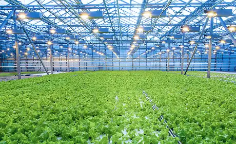 Agriculture